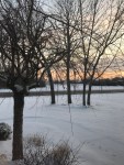 img_0291