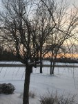 img_0293