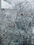 img_0303