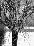 img_0304