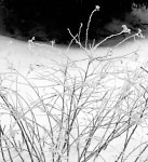 img_0305
