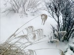 img_0306