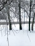 img_0307