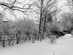 img_0312