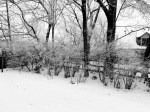 img_0313