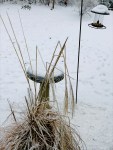 img_0316