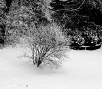 img_0317